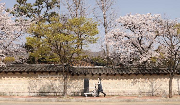 Invisible Sculpture On Wheels